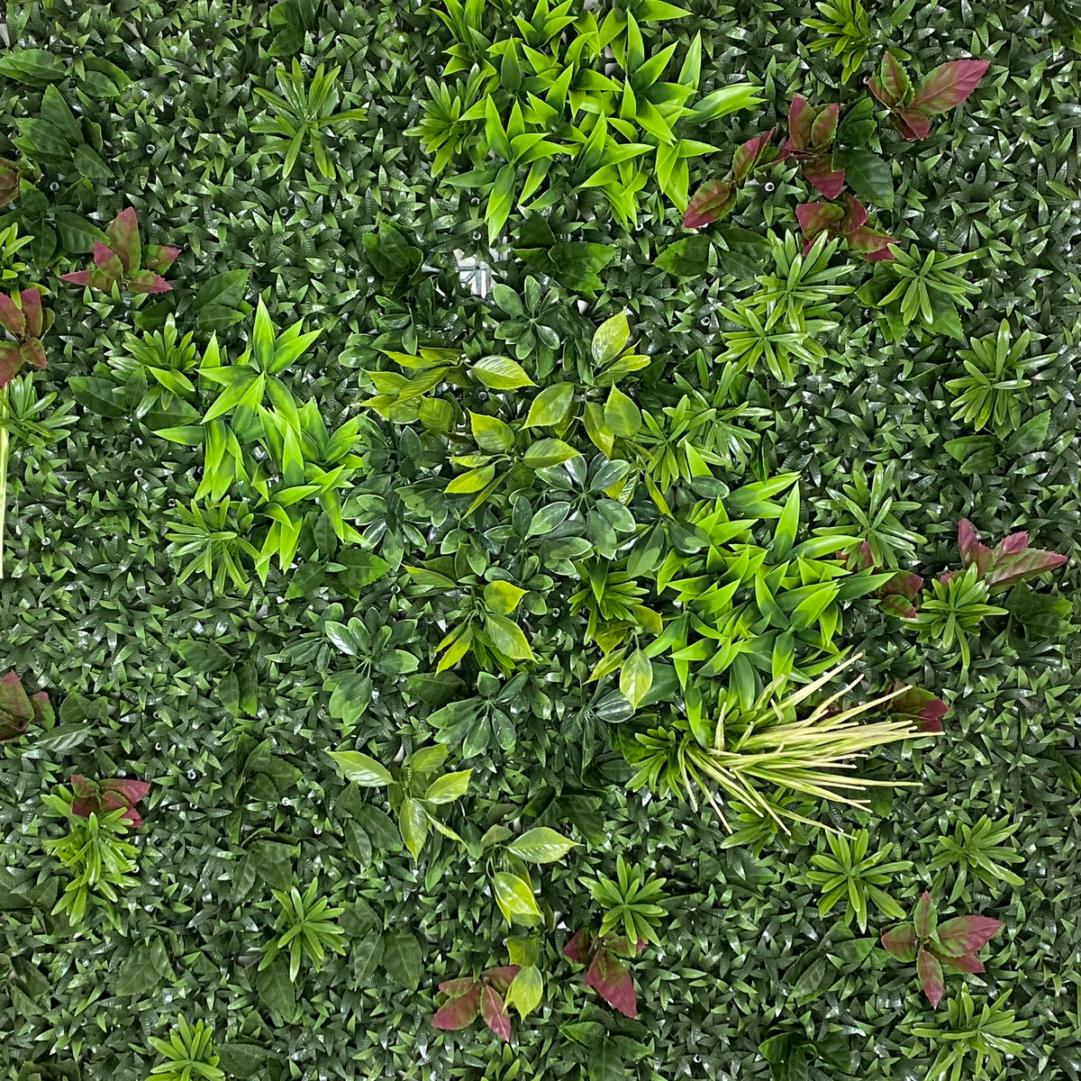 Green Festival | Jardín Vertical Artificial para interiores y exteriores