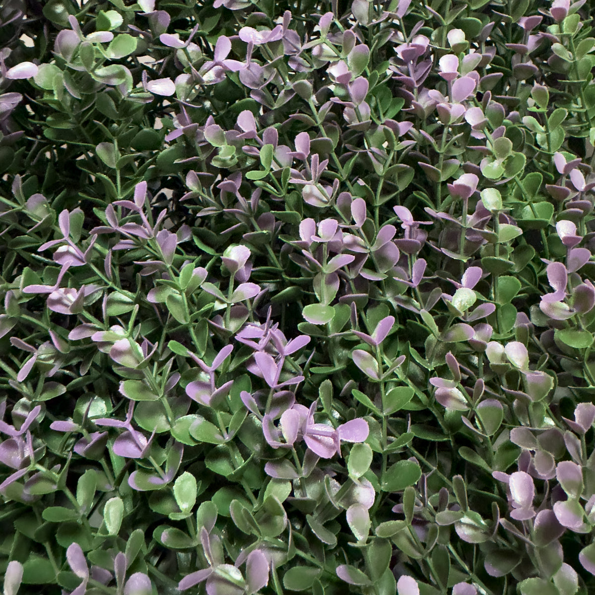 Violet | Jardín Vertical Artificial para interiores y exteriores