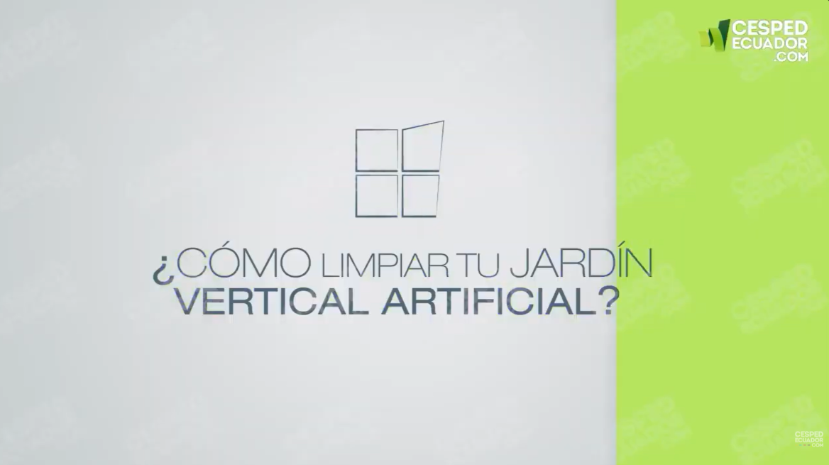 Cargar video: