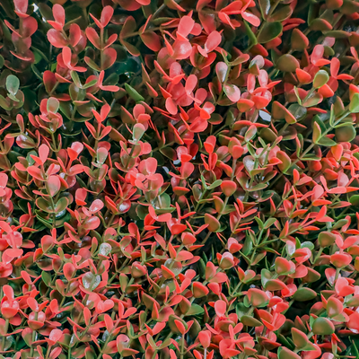 Red Fire | Jardín Vertical Artificial para interiores y exteriores