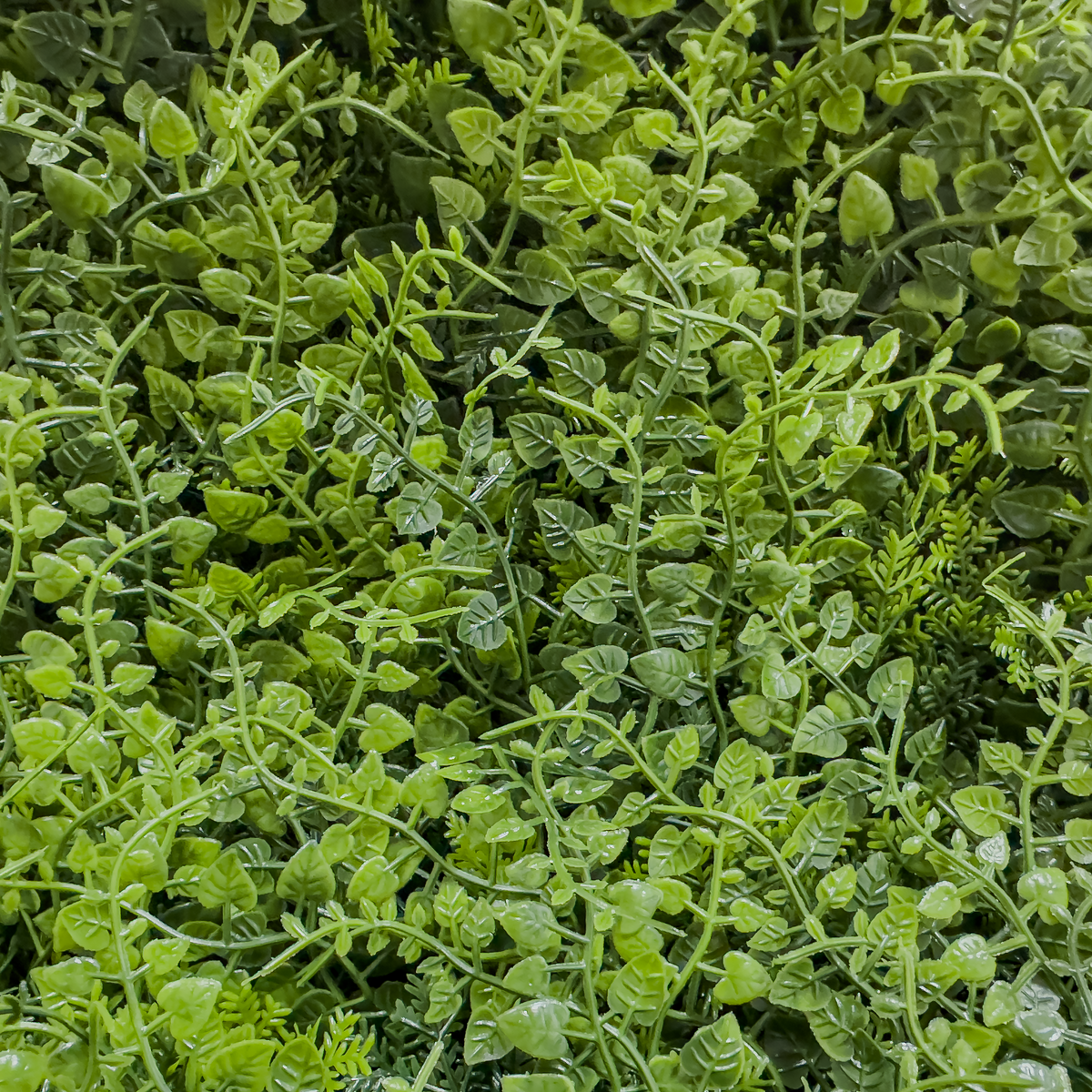 Splash | Jardín Vertical Artificial para interiores y exteriores