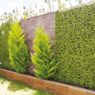 Citrus | Jardín Vertical Artificial para interiores y exteriores