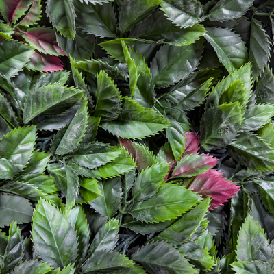 Jungle | Jardín Vertical Artificial para interiores y exteriores
